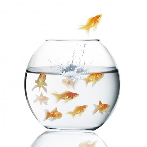 iStock_000036251530_Large-696x596-1